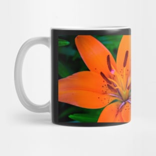 The daylily Digital Art Mug